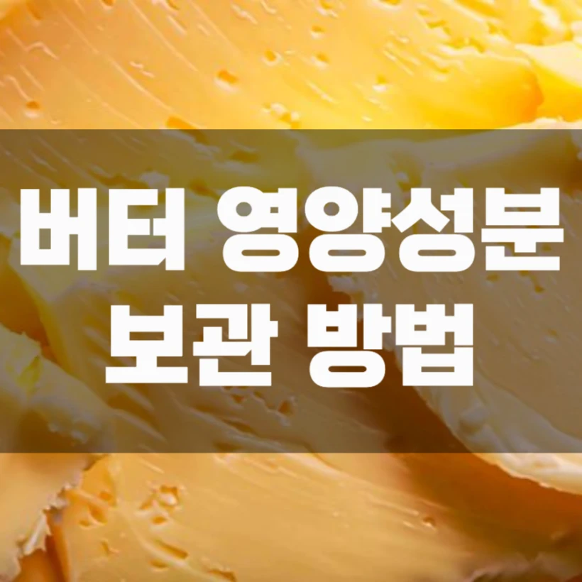 버터 영양성분 칼로리 보관법 실온 냉장 냉동 보관