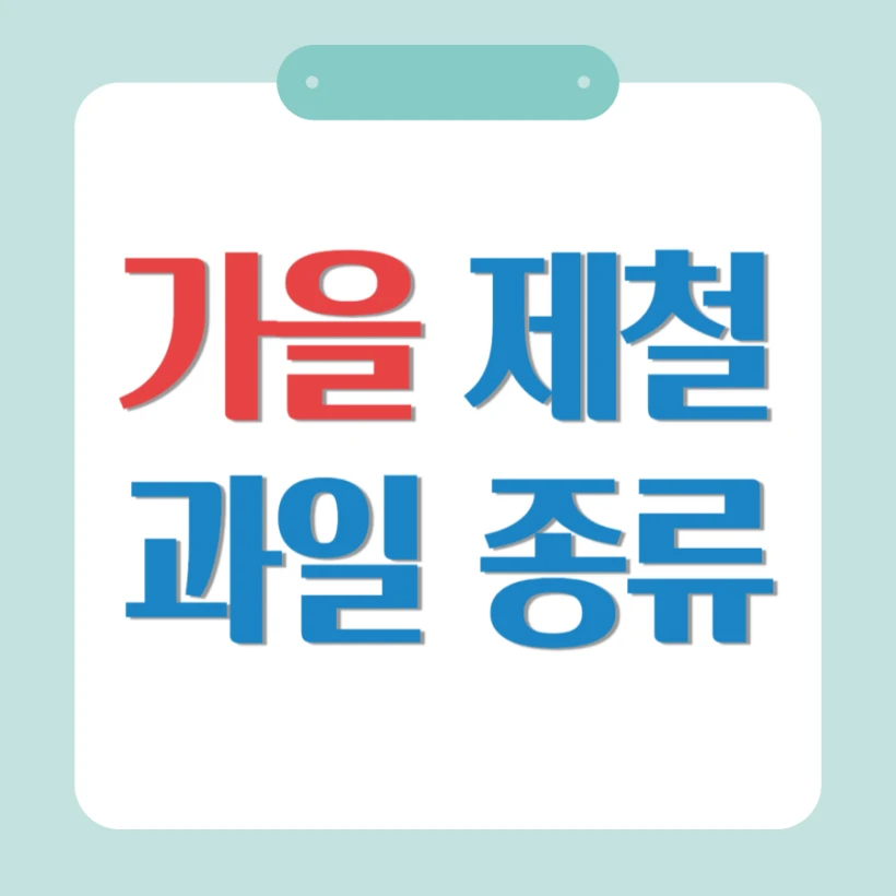 가을 과일 종류 추천