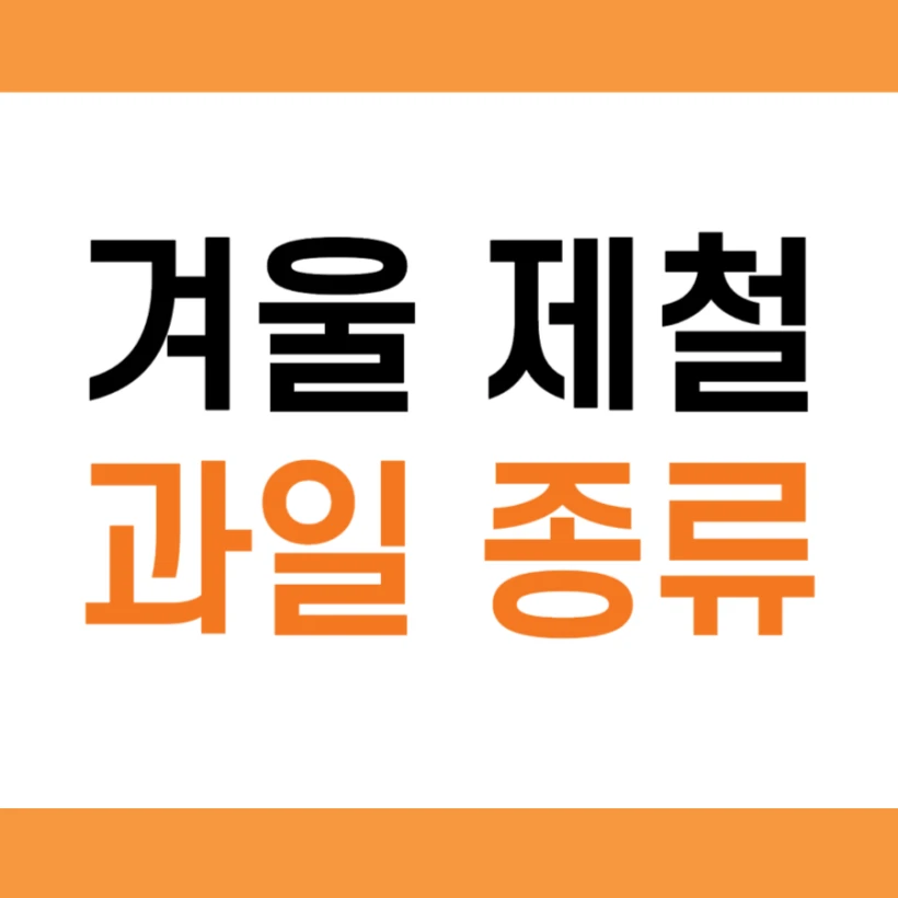 겨울 제철 과일 종류 추천 모음