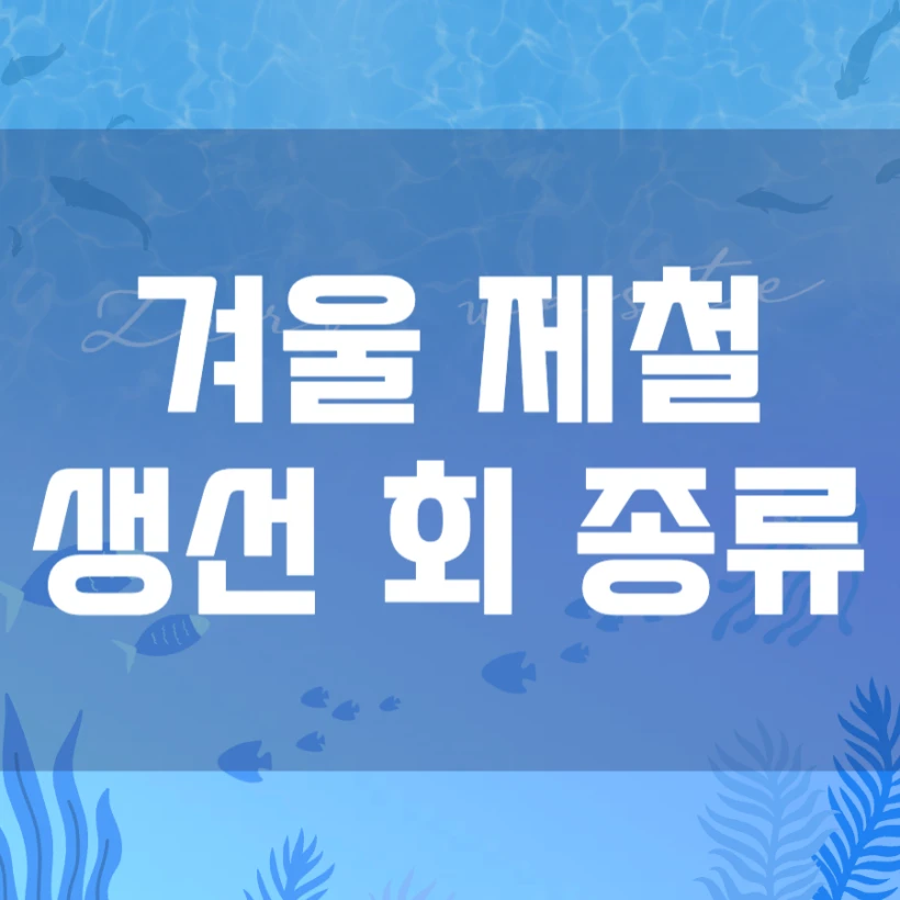 겨울 제철 회 생선 해산물 종류