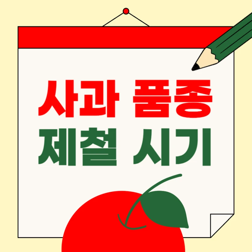 사과 제철 시기 품종별 정리