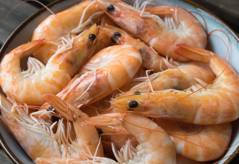 가을 제철 대하의 모습