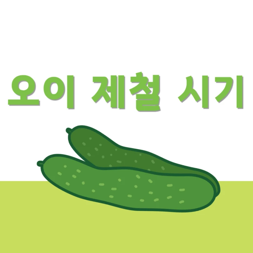 오이 제철 시기