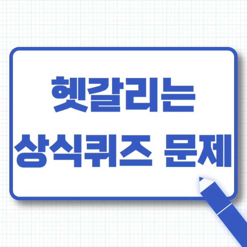 헷갈리는 상식퀴즈 문제 모음