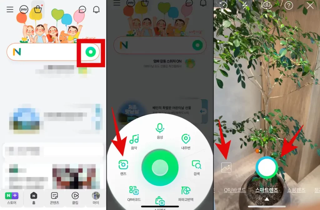 네이버 스마트렌즈를 이용해 식물 이름 찾기 화면