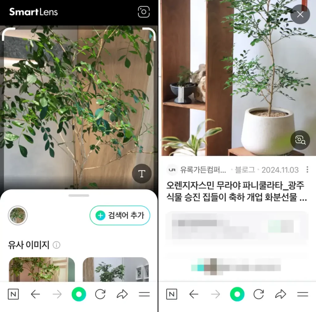 네이버 식물 이름 찾기 검색 결과 화면