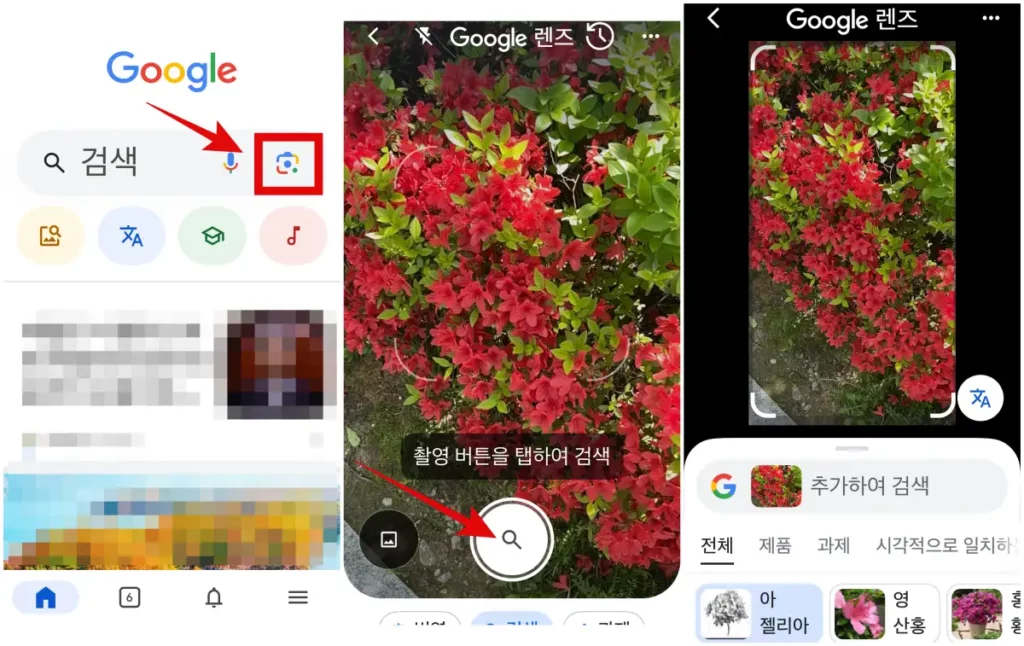 구글 렌즈로 꽃이름 식물 이름 찾는 과정