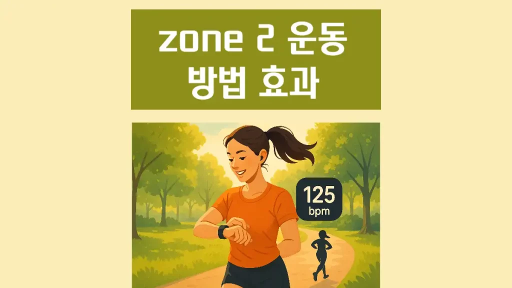 zone2 운동 러닝 심박수 달리기 효과