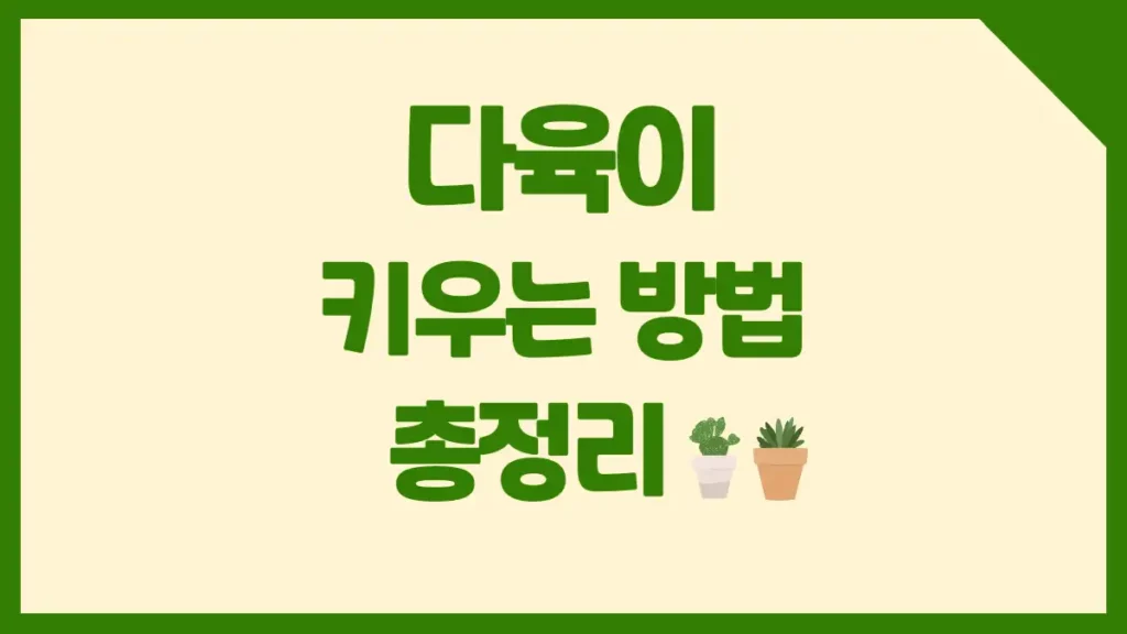 다육이 키우기 방법 온도, 물주기, 화분, 계벌, 햇빛, 병충해 흙관리