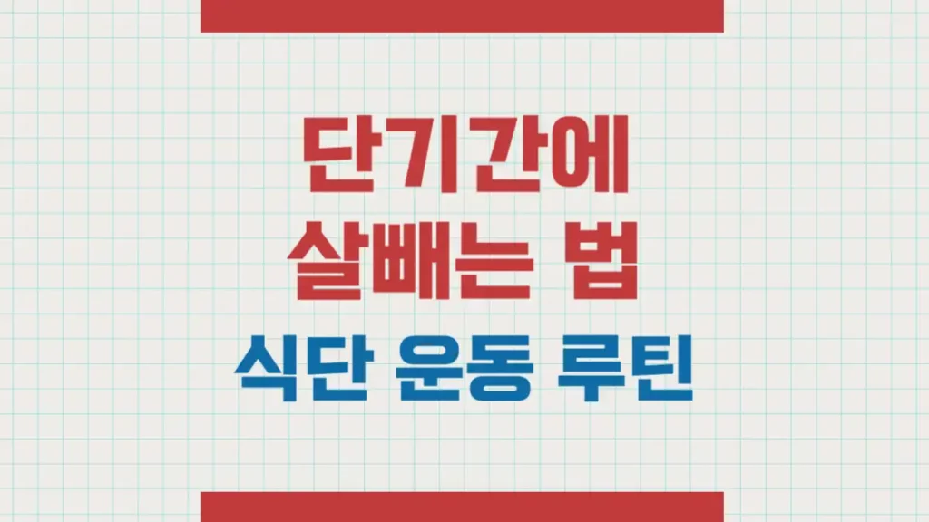 단기간에 살빼는법 식단 운동 루틴