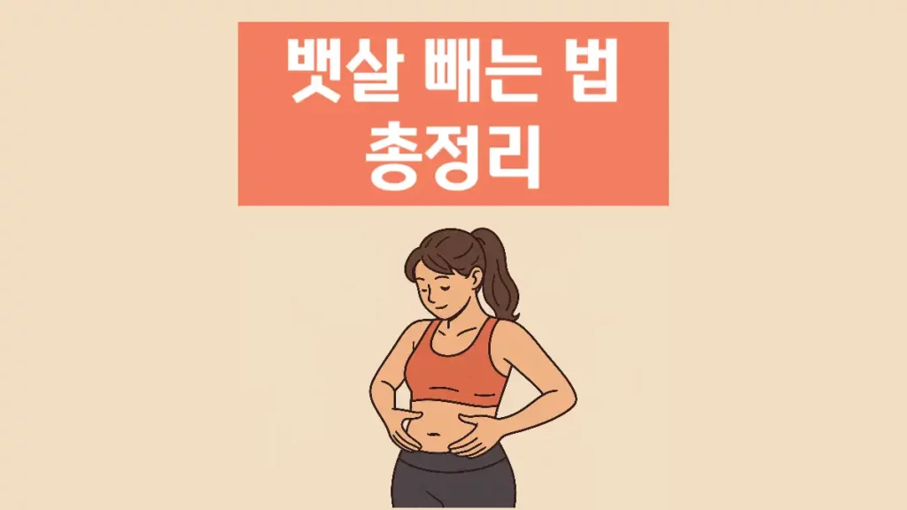 배살 빼는법 운동 식단 하루 루틴