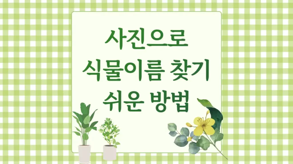 사진으로 식물 이름 찾기 검색 어플 사용 방법