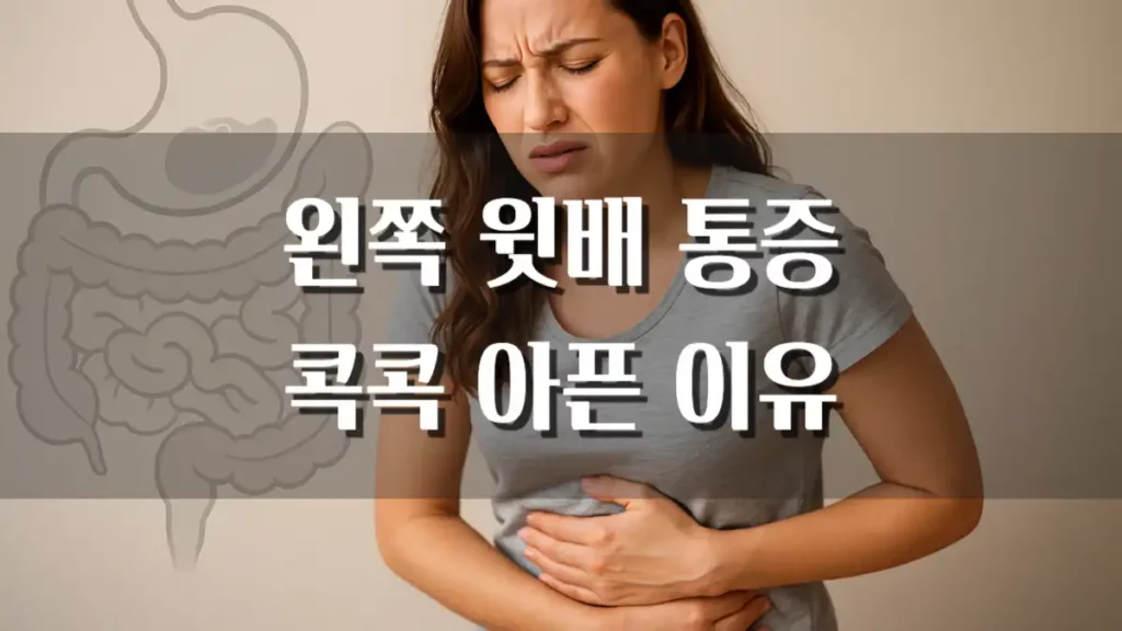 왼쪽 윗배 통증 콕콕 원인