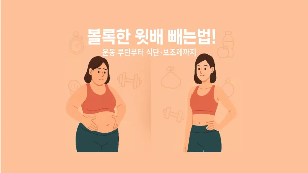윗배 빼는법 운동 방법 식단 보조제 정리