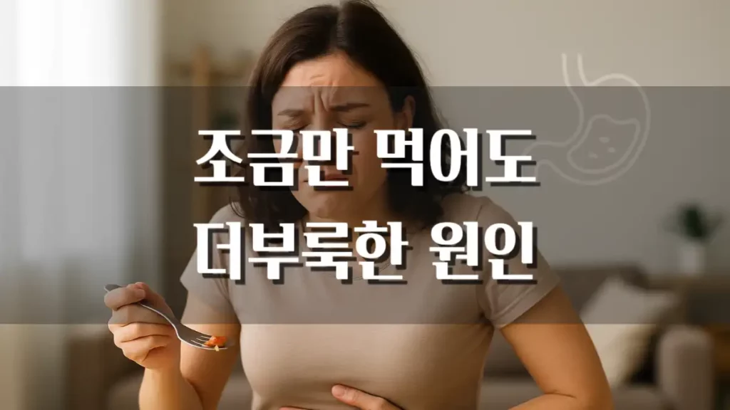 조금만 먹어도 배 빵빵 배부름 더부룩