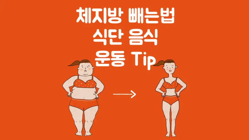 체지방 빼는법 식단 음식 운동 방법