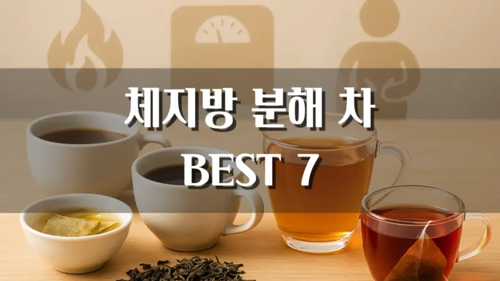 체지방 분해 차로 지방분해하기
