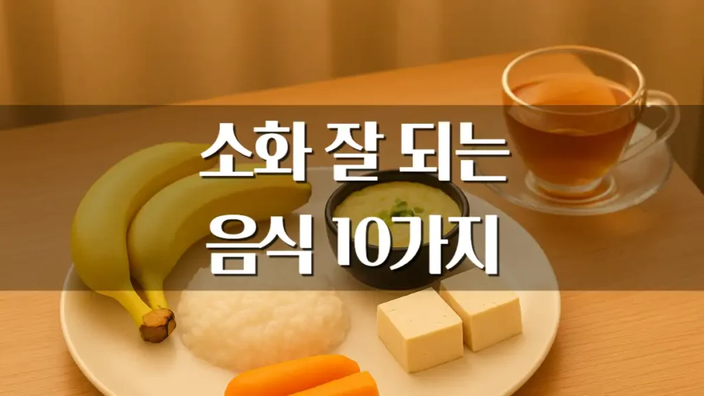 소화 잘되는 음식 10가지 추천