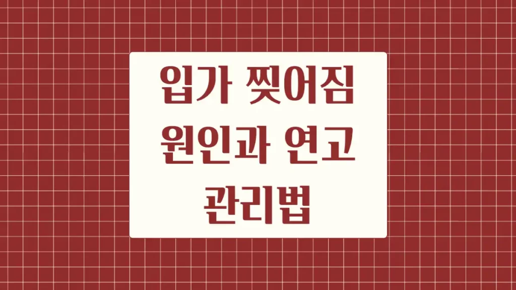 입가 찢어짐 원인 연고 관리방법