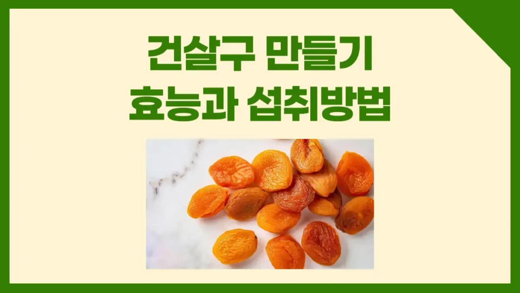 건살구 만들기 효능 칼로리 섭취방법