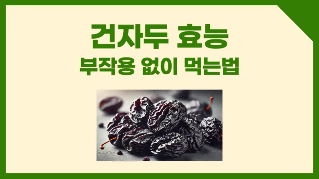 건자두 효능 부작용 없이 먹는법