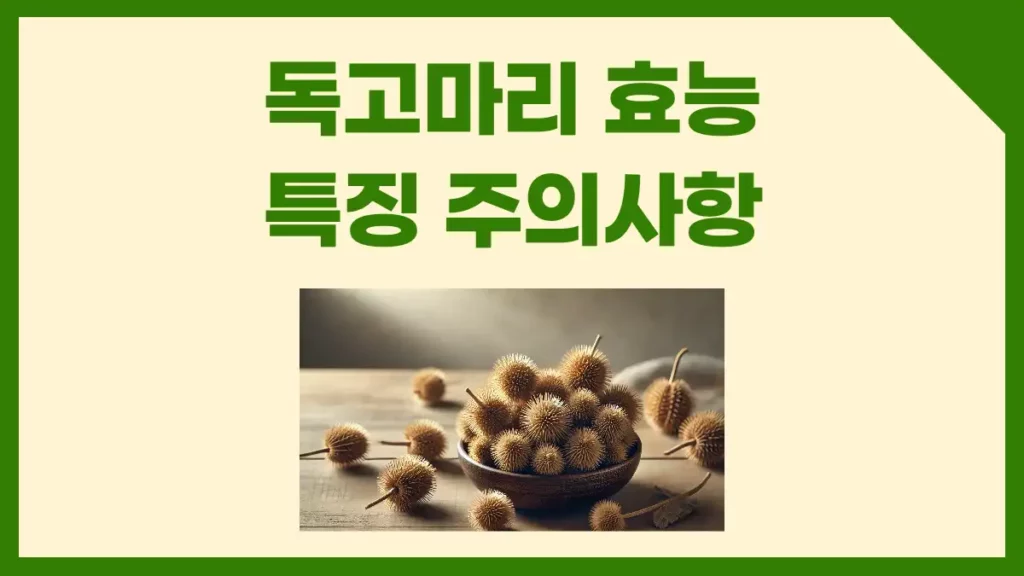 독고마리 효능 특징 부작용 주의사항