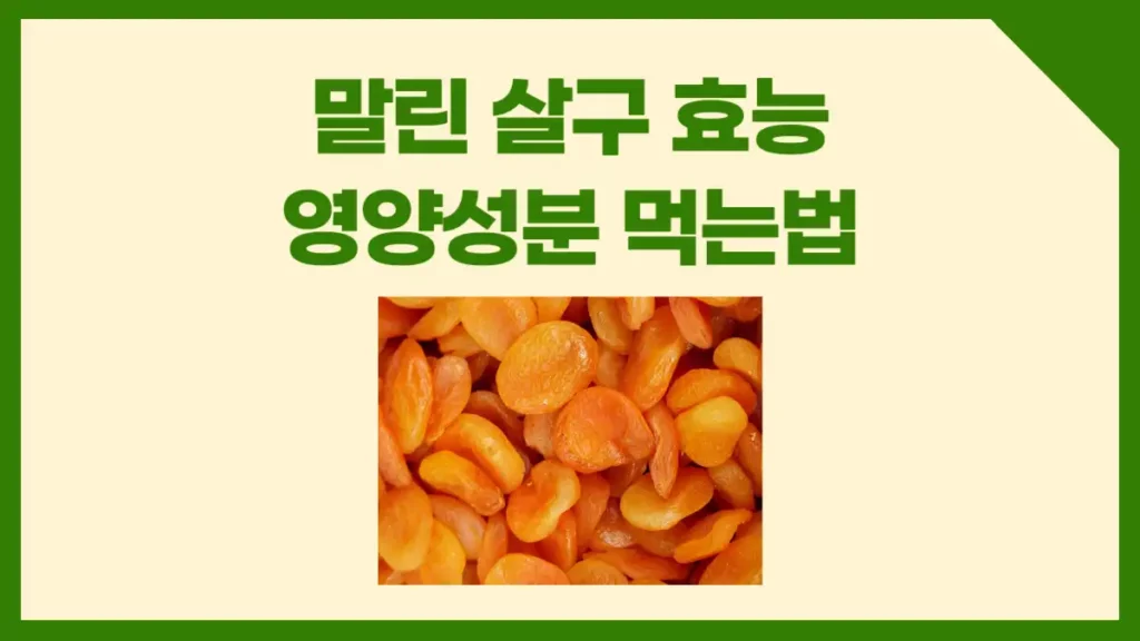 말린 살구 효능 영양성분 먹는법