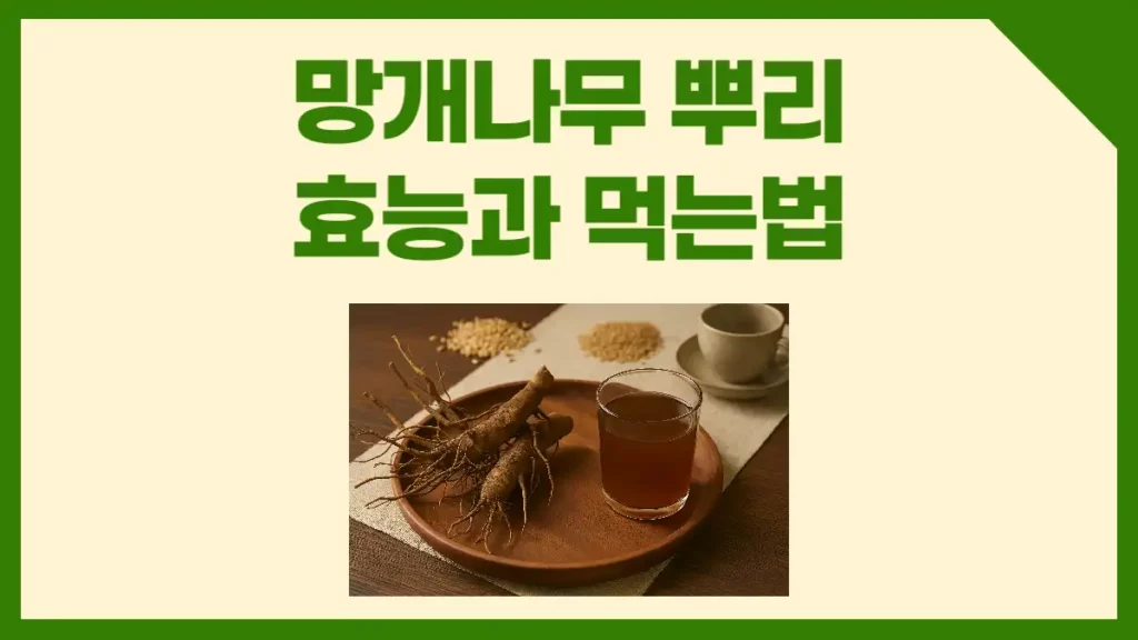 망개나무 뿌리 효능 먹는법 주의사항