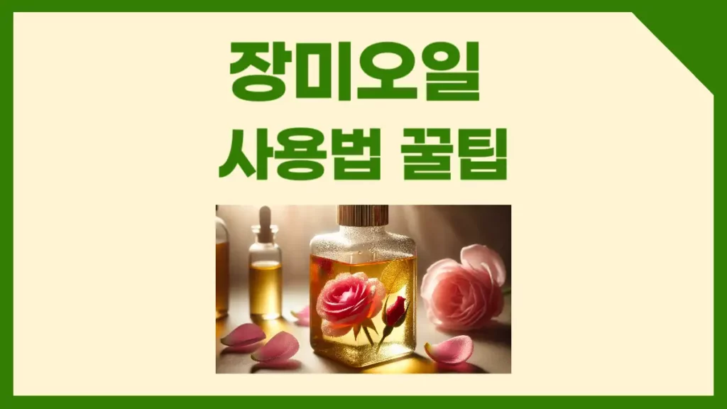 장미오일 사용법 피부 효과 올리는 방법