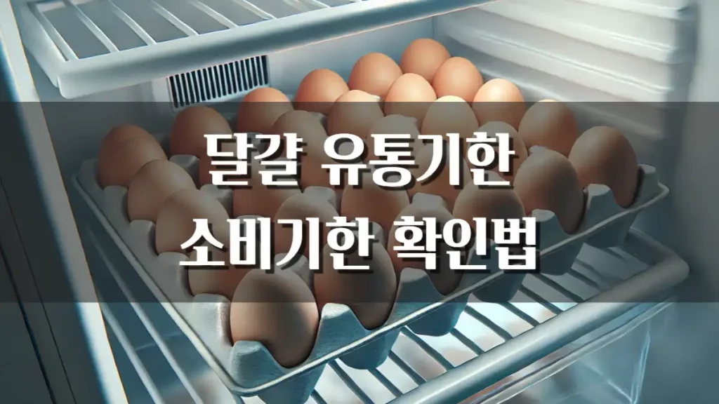 달걀 유통기한 소비기한 확인방법 보관법