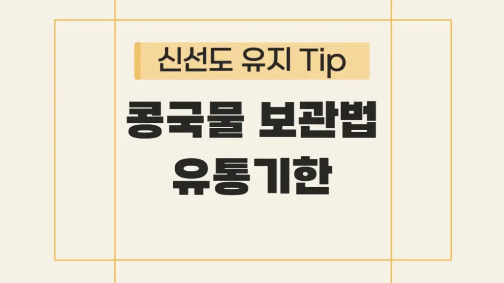 콩국물 냉동 보관 유통기한 신선도 유지 Tip