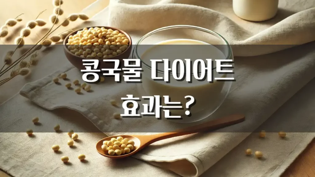 콩국물 다이어트 효과 칼로리 